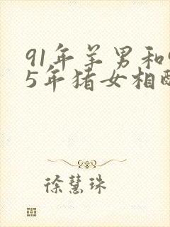 91年羊男和95年猪女相配吗封面