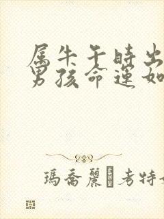 属牛午时出生的男孩命运如何