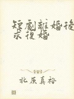 短剧离婚后前夫求复婚