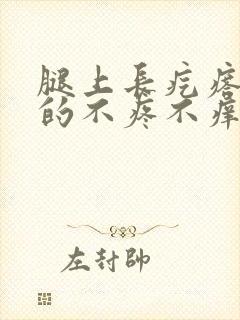 腿上长疙瘩硬硬的不疼不痒封面