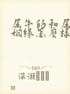 属牛的和属猴的姻缘怎么样