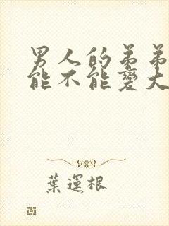 男人的弟弟到底能不能变大封面