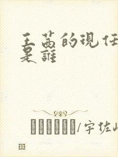 王茜的现任丈夫是谁