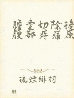 胆囊切除后3天腹部疼痛原因