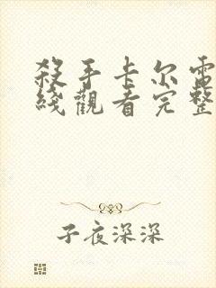 杀手卡尔电影在线观看完整版