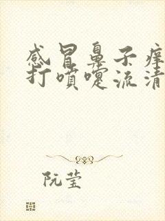 感冒鼻子痒老是打喷嚏流清鼻涕怎么治