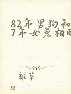 82年男狗和87年女兔相配婚姻如何