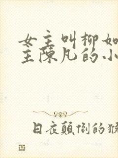 女主叫柳如烟男主陈凡的小说