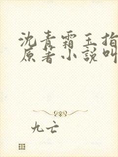 沈青霜玉指情挑原著小说叫什么名字