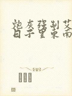 炮灰强制艾草的日子里东南枝小说封面