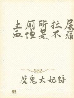 上厕所拉屎拉出血但是不痛封面