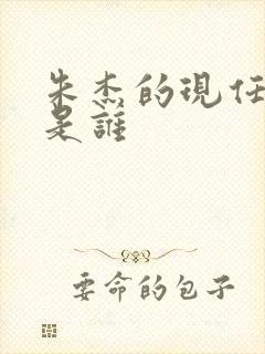 朱杰的现任丈夫是谁