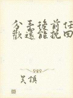 分手后前任有新欢还能挽回吗