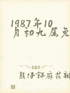 1987年10月初九属兔的命运和财运