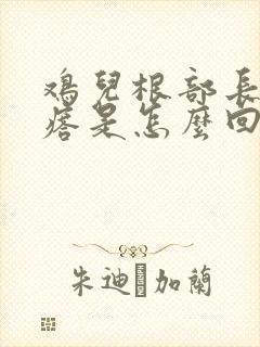 鸡儿根部长小疙瘩是怎么回事