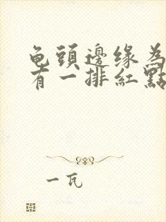 龟头边缘为什么有一排红点封面