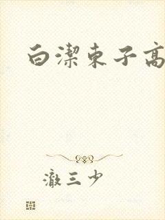 白洁东子高义封面