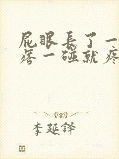 屁眼长了一个疙瘩一碰就疼