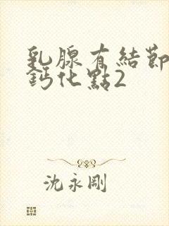 乳腺有结节内有钙化点2