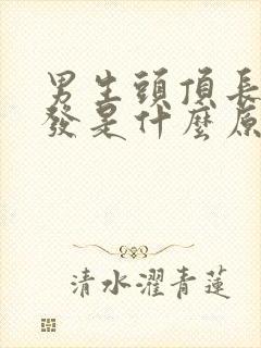 男生头顶长白头发是什么原因