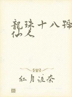 龙珠十八号和龟仙人