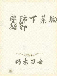 双肺下叶胸膜下结节封面