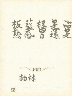 板蓝根是治疗风热感冒还是风寒感冒