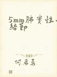 5mm肺实性小结节