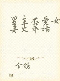 男主不爱女主追妻火葬场