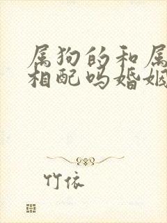 属狗的和属马的相配吗婚姻