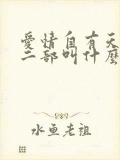 爱情自有天意第二部叫什么