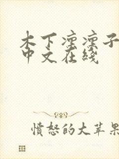 木下凛凛子av中文在线