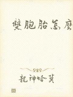 双胞胎怎么算命封面