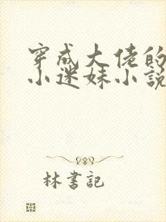 穿成大佬的反派小迷妹小说封面