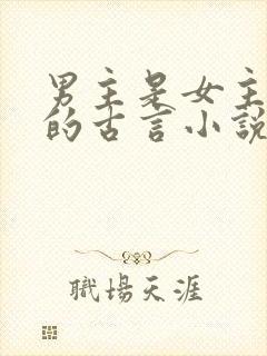男主是女主夫子的古言小说封面