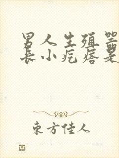 男人生殖器周围长小疙瘩是怎么回事