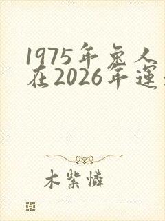 1975年兔人在2026年运气如何封面