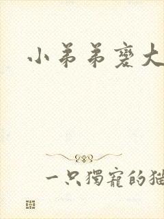 小弟弟变大变长