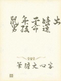 鼠年子时出生的男孩命运封面