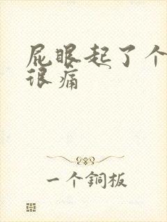 屁眼起了个疙瘩很痛