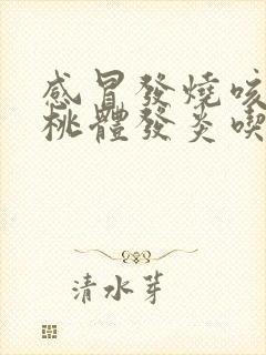 感冒发烧咳嗽扁桃体发炎吃什么药