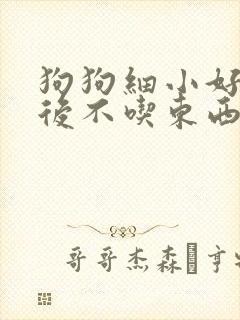 狗狗细小好了以后不吃东西怎么办