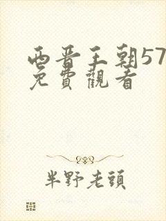 西晋王朝57集免费观看