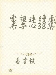 电视连续剧天涯赤子心38集