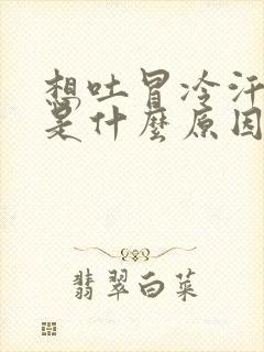 想吐冒冷汗头晕是什么原因封面