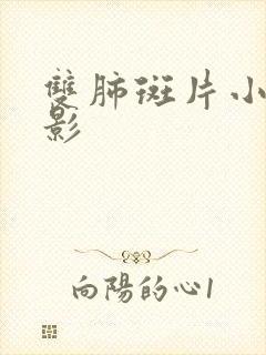 双肺斑片小结节影封面