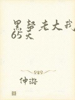 黑帮老大我的365天