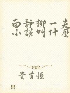 白静柳一夫原著小说叫什么名字