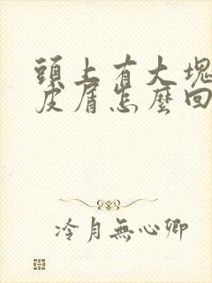 头上有大块的头皮屑怎么回事封面