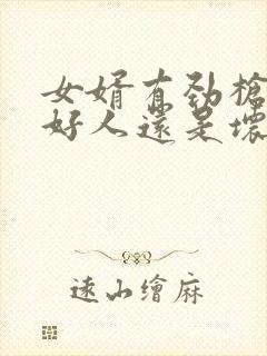 女婿有劲枪枪是好人还是坏人封面